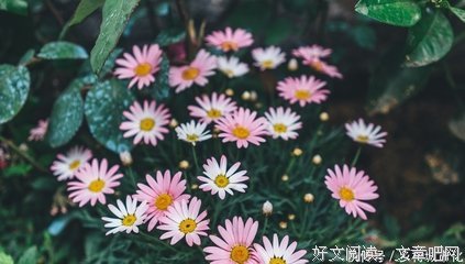 关于此时此刻的名句摘抄