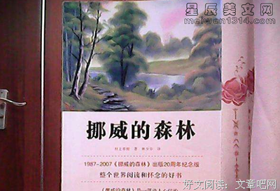 淡紫色的迷雾读后感1000字