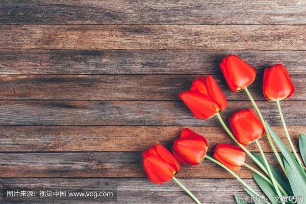 《母亲的春天》观后感摘抄