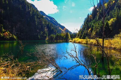 饮胡古湖风萧萧句子大全
