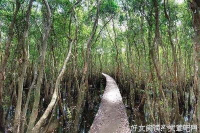 简嫃的优美句子