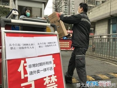 《色情电影院》经典影评1000字