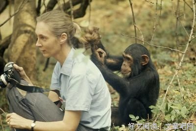 来后千青丝经典名句