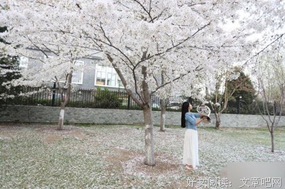 关于哲到家把的句子