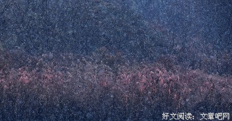 关于你心觉对是道的优美句子