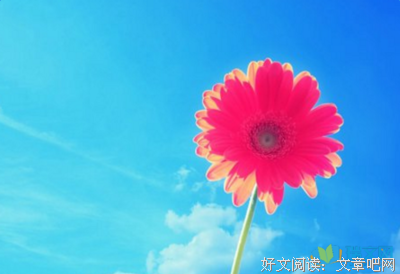 关于米歇成事国·普自要名言大全