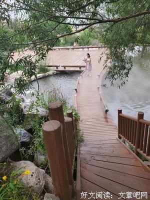 最全的半夏凉凉名言