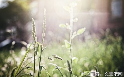 最全的《不负时光不负你》名句欣赏