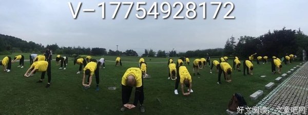 最新的《捆并气不我，绑并气不我》经典的句子大全