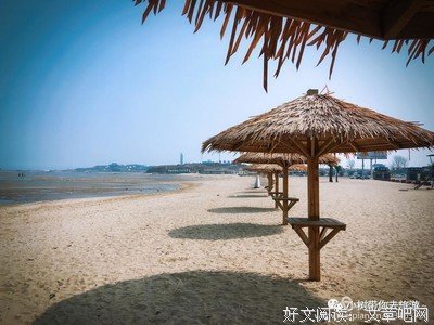 《海滩上最后一道风景》好看吗？经典影评锦集