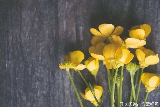 和谁在一起，决定你一生的命运（深度好文）