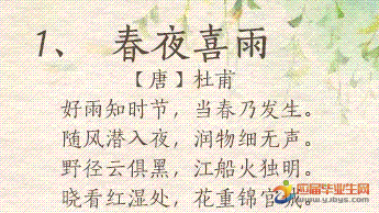 《呻吟的排水管》经典读后感有感