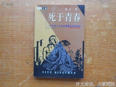 《死于青春》读后感锦集