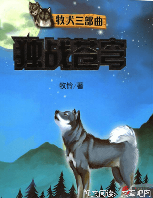 哥们儿经典读后感有感
