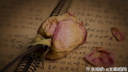 15条关于乱七八糟的经典语句