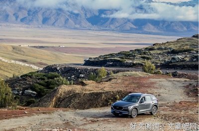 《带我去阿尔泰》读后感精选