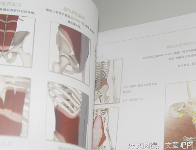 哈他瑜伽关键肌肉全解读后感摘抄