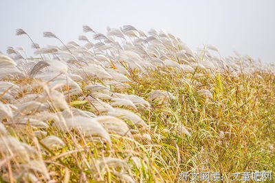有关沧海桑田的美文美句摘抄