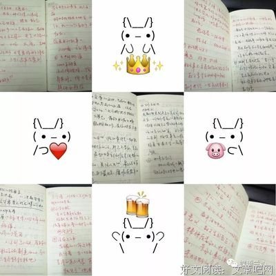 吾命騎士读后感100字