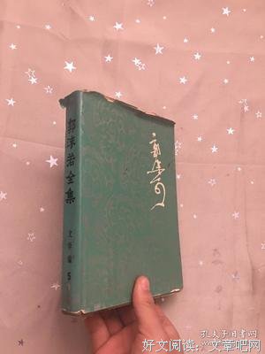 《郭沫若全集 文学编 第一卷》读后感锦集