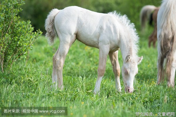 春暖花开的名句_关于春暖花开的名句