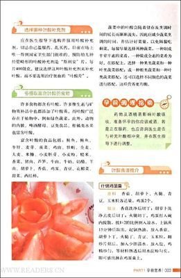 《28天不节食减肥法》的读后感大全