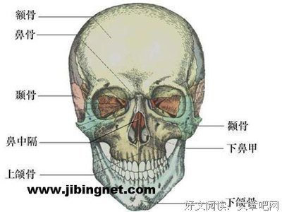 《头骨国度》影评摘抄
