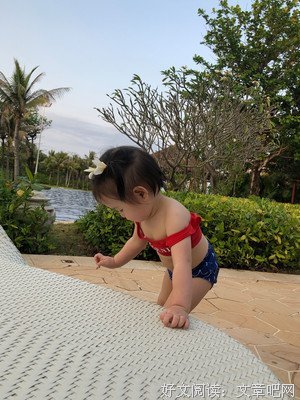 蔷薇岛屿句子