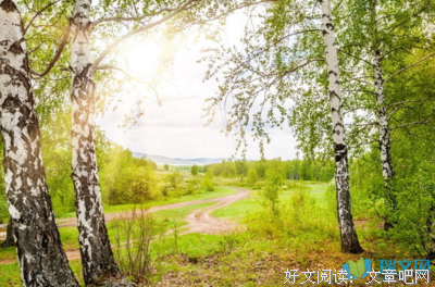 《为你吟一首歌》的句子