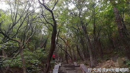 冷暖自知经典名句