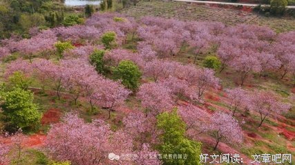 日漫 秒速五厘米句子