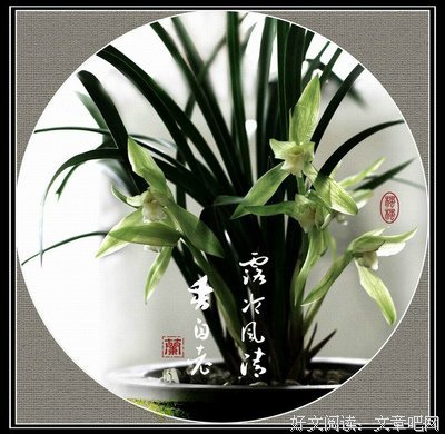 之内十种古·指间沙句子