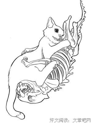 薛定谔的猫经典名句