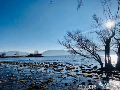 古生慕恋优美的句子