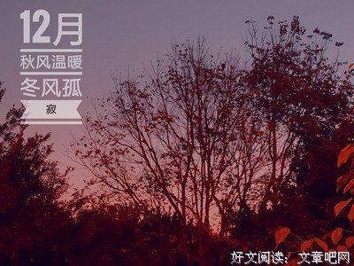 沉雁的名言