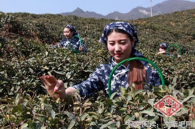 最经典的《星落尘归》经典语录