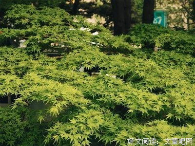 世界上最便宜的长寿药，就一个字！