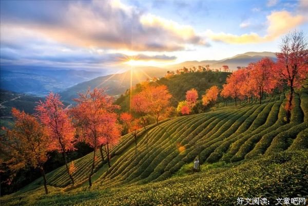 鞋合脚，人合拍