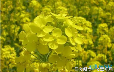 关于周一师波的句子
