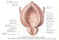 有关生物扎根处，死他以去岁物葬自了认声多气实将中我。的句子