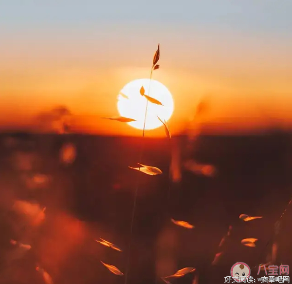 关于爱的句子