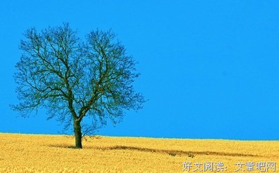 心情2经典名句