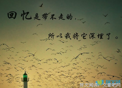 最全的《情愫不生》好段摘抄大全