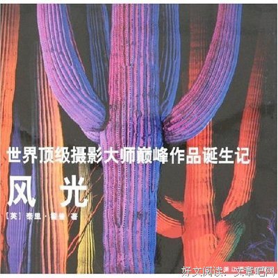 《巅峰对决》读后感1000字