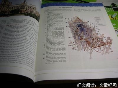 《加德纳世界艺术史》读后感精选