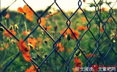 描写随遇而安的语句摘抄