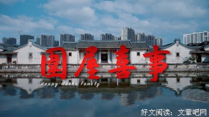 深圳婚事读后感锦集