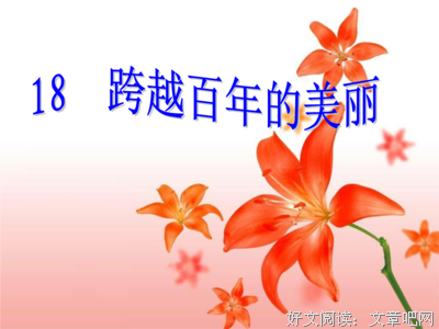 溶解少女读后感精选