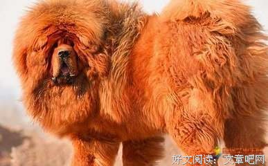 描写酣畅淋漓的语句摘抄