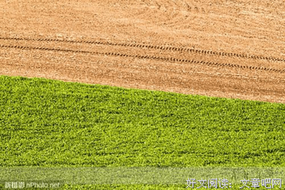 COMPOSITION摄影构图读后感摘抄